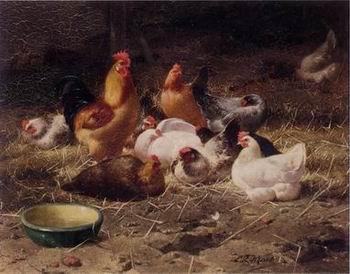 unknow artist Cocks 180 Spain oil painting art